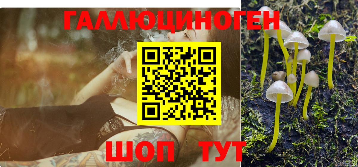 Псилоцибиновые грибы мицелий  Вход с VPN  Гудермес  Псилоцибиновые грибы Cubensis 