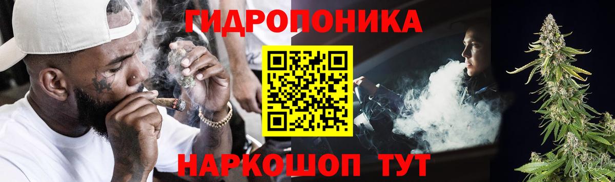 Бошки Шишки THC 21% Гудермес